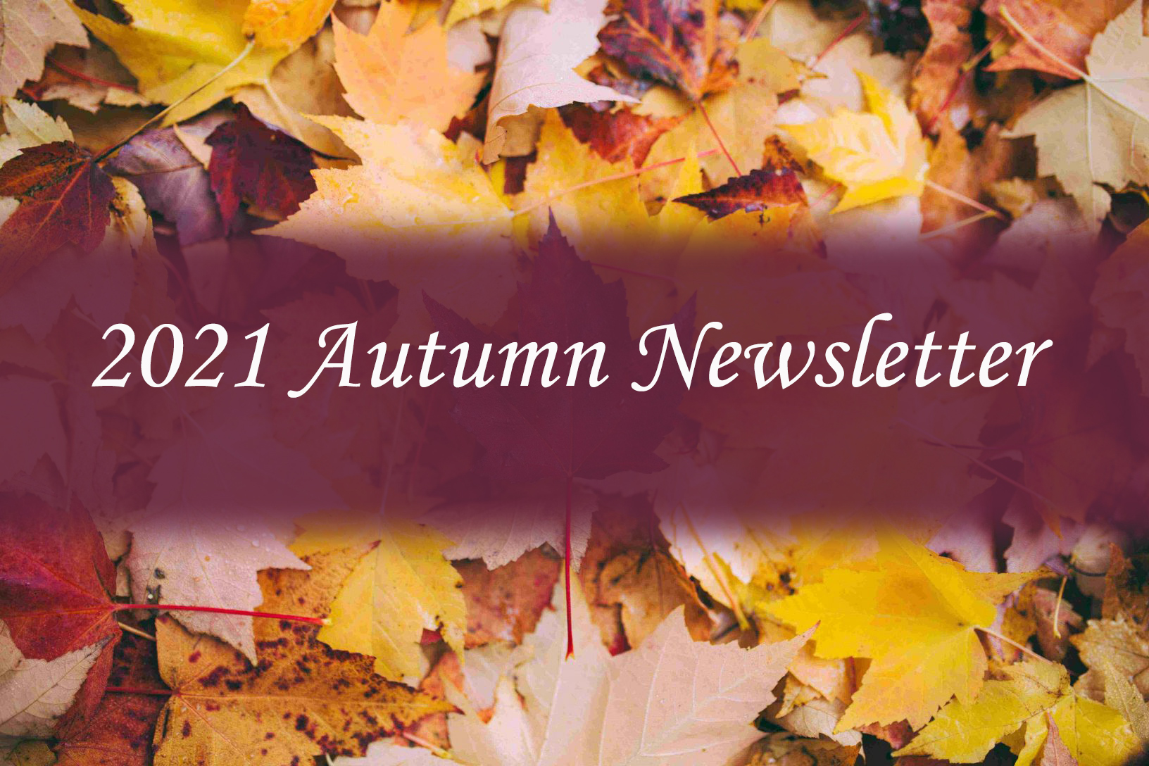 Autumn Newsletter Image 2021